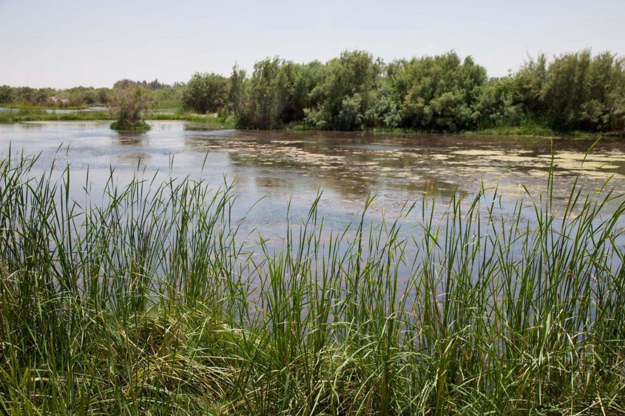 Azraq Lodge Al Azraq ash Shamālī Buitenkant foto