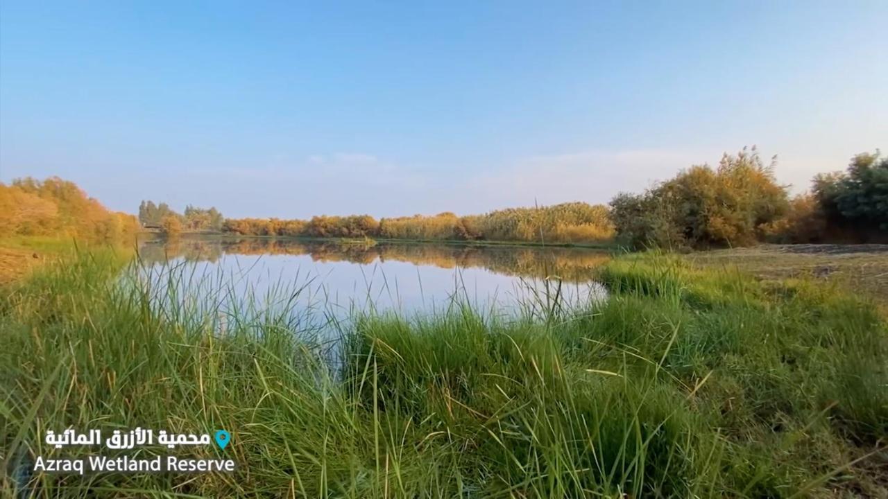 Azraq Lodge Al Azraq ash Shamālī Buitenkant foto