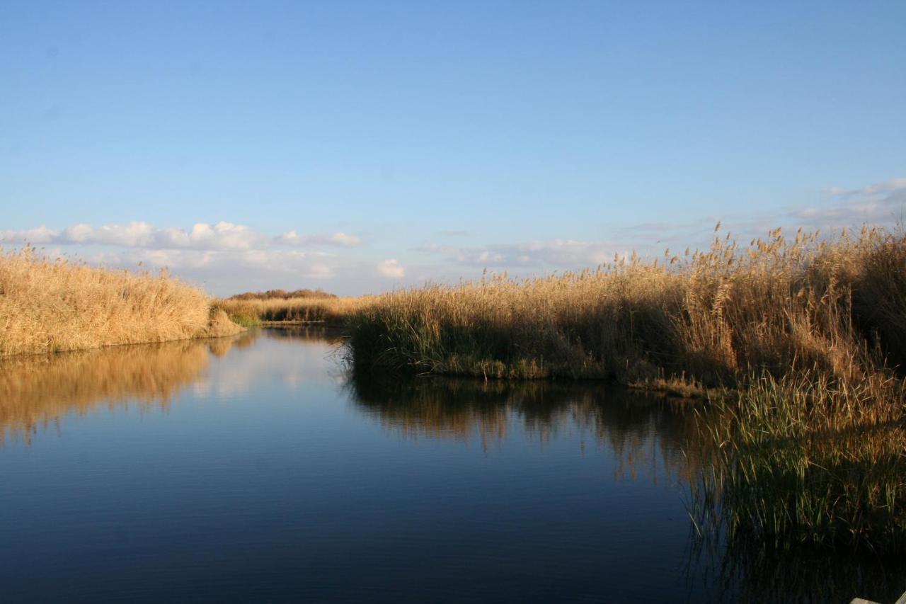 Azraq Lodge Al Azraq ash Shamālī Buitenkant foto